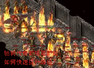 �۳Ҵ����·����°棺��ο��������ȼ���