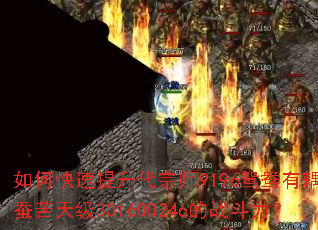��ο�����������ʦ9196ԧ������Ͽ��켶301600246��ս������