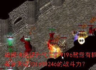 ��ο�����������ʦ9196ԧ������Ͽ��켶301600246��ս������