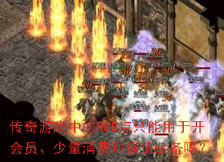 ������Ϸ�е�RMB��ֻ�����ڿ���Ա���������Ѻͱ�ֵװ����