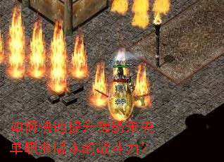 ��ο�����������δ�뵥ְҵ�汾��ս������