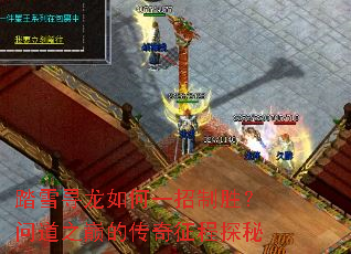 ̤ѩѰ�����һ����ʤ���ʵ�֮�۵Ĵ�������̽��