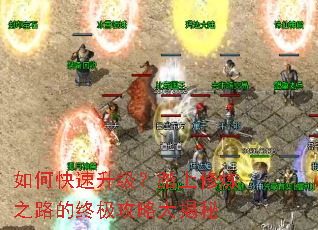 如何快速升级?踏上修炼之路的终极攻略大揭秘 如何快速升级?踏上修炼之路的终极攻略大揭秘