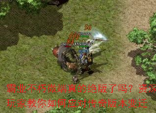 霸业不朽微端真的绝版了吗?资深玩家教你如何应对传奇版本变迁 霸业不朽微端真的绝版了吗?资深玩家教你如何应对传奇版本变迁