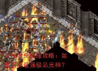 元神传奇新服攻略:如何培养最强极品元神? 元神传奇新服攻略:如何培养最强极品元神?