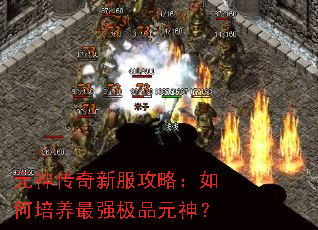 元神传奇新服攻略:如何培养最强极品元神? 元神传奇新服攻略:如何培养最强极品元神?