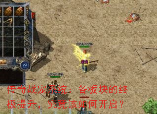 传奇战宠系统:各板块的终极提升,究竟该如何开启? 传奇战宠系统:各板块的终极提升,究竟该如何开启?
