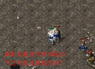 单职业超变传奇30级以下法师能混蜈蚣洞吗? 单职业超变传奇30级以下法师能混蜈蚣洞吗?