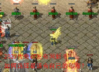 2023传奇sf发布网新手如何选择最适合自己的私服? 2023传奇sf发布网新手如何选择最适合自己的私服?