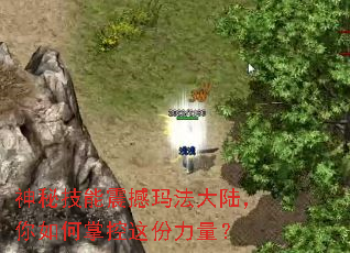 神秘技能震撼玛法大陆,你如何掌控这份力量? 神秘技能震撼玛法大陆,你如何掌控这份力量?