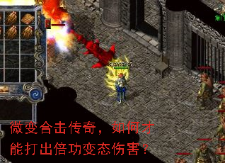 ΢��ϻ����棬��β��ܴ��������̬�˺���
