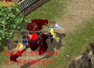 新开超变传奇私服战士如何单挑触龙神? 新开超变传奇私服战士如何单挑触龙神?