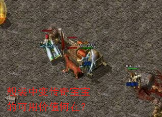 ��װ�б䴫�汦���Ŀ��ü�ֵ���ڣ�