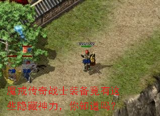 魔戒传奇战士装备竟有这些隐藏神力,你知道吗? 魔戒传奇战士装备竟有这些隐藏神力,你知道吗?
