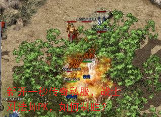 �¿�һ�봫��˽����սʿ�Է�ʦPK�������ʤ��