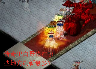 �������Ұ������Щ�ط�ˢ����ࣿ