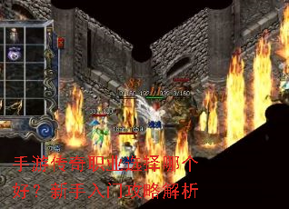 ���δ���ְҵѡ���ĸ��ã��������Ź��Խ���