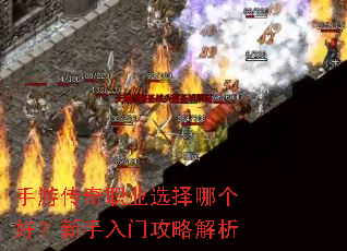 ���δ���ְҵѡ���ĸ��ã��������Ź��Խ���