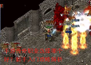 ���δ���ְҵѡ���ĸ��ã��������Ź��Խ���