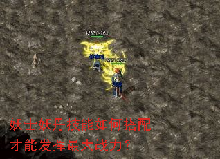 妖士妖丹技能如何搭配才能发挥最大战力? 妖士妖丹技能如何搭配才能发挥最大战力?
