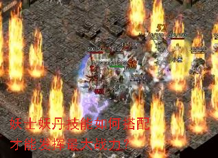 妖士妖丹技能如何搭配才能发挥最大战力? 妖士妖丹技能如何搭配才能发挥最大战力?