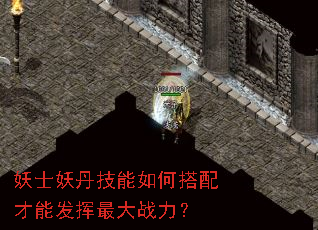 妖士妖丹技能如何搭配才能发挥最大战力? 妖士妖丹技能如何搭配才能发挥最大战力?