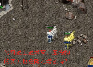 传奇道士道术高,宠物狗的实力也会随之增强吗? 传奇道士道术高,宠物狗的实力也会随之增强吗?