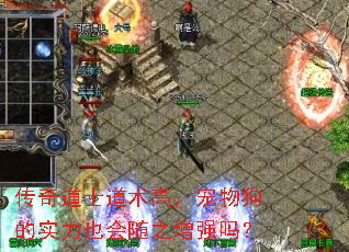 传奇道士道术高,宠物狗的实力也会随之增强吗? 传奇道士道术高,宠物狗的实力也会随之增强吗?