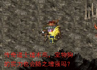 传奇道士道术高,宠物狗的实力也会随之增强吗? 传奇道士道术高,宠物狗的实力也会随之增强吗?