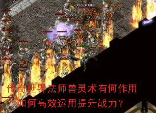 �������編ʦ�������к����ã���θ�Ч��������ս����