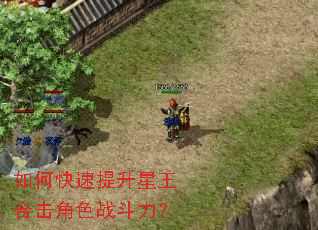 如何快速提升星王合击角色战斗力? 如何快速提升星王合击角色战斗力?