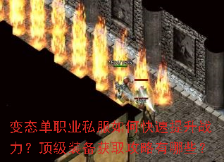 ��̬��ְҵ˽����ο�������ս��������װ����ȡ��������Щ��