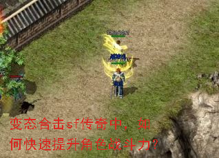 变态合击sf传奇中,如何快速提升角色战斗力? 变态合击sf传奇中,如何快速提升角色战斗力?
