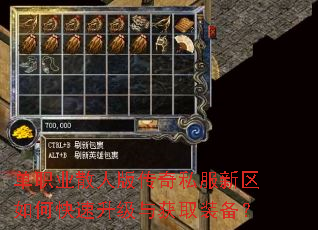 ��ְҵɢ�˰洫��˽��������ο����������ȡװ����