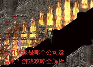 ����˽�����ĸ���˾��Ӫ�ģ���Ϸ����ȫ����