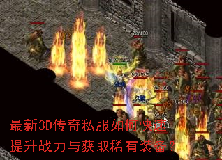 ����3D����˽����ο�������ս�����ȡϡ��װ����