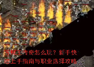 ������������ô�棿���ֿ�������ָ����ְҵѡ����