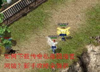 如何下载传奇私服国服官网版?新手攻略全解析 如何下载传奇私服国服官网版?新手攻略全解析