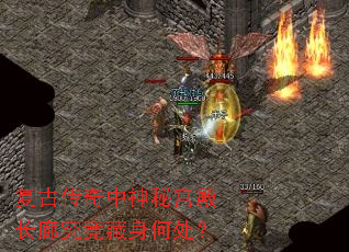 ���Ŵ��������ع���Ⱦ��������δ���