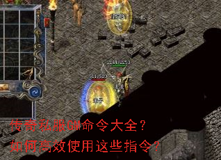 ����˽��GM�����ȫ����θ�Чʹ����Щָ�