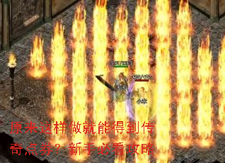 原来这样做就能得到传奇点券?新手必看攻略 原来这样做就能得到传奇点券?新手必看攻略