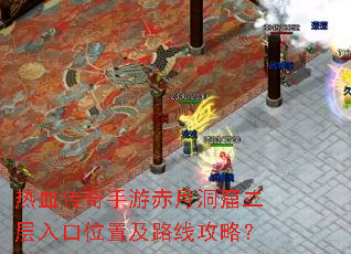 ��Ѫ�������γ��¶��߶������λ�ü�·�߹��ԣ�