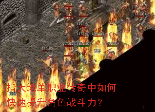 ָ��ص�ְҵ��������ο���������ɫս������