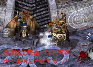 后期道士嗜血术作用有多大?如何最大化其威力? 后期道士嗜血术作用有多大?如何最大化其威力?
