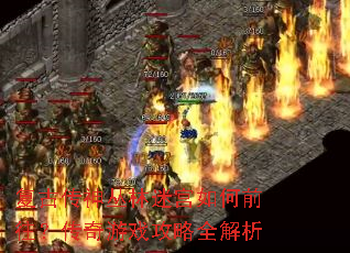 ���Ŵ�������Թ����ǰ����������Ϸ����ȫ����