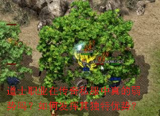 ��ʿְҵ�ڴ���˽���������������η�����������ƣ�