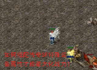 ��δ��䴫��SF����װ�����Բ������ս����
