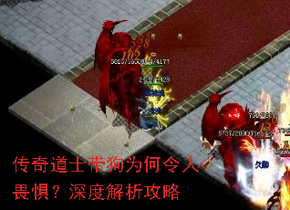 �����ʿ����Ϊ������η�壿��Ƚ�������