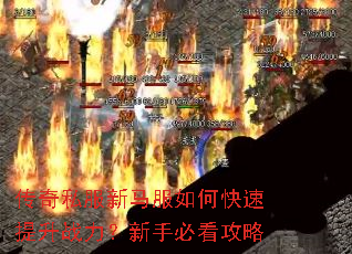 ����˽����������ο�������ս�������ֱؿ�����