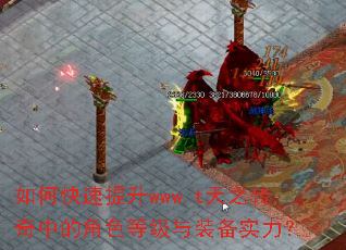 如何快速提升www.t天之传奇中的角色等级与装备实力? 如何快速提升www.t天之传奇中的角色等级与装备实力?